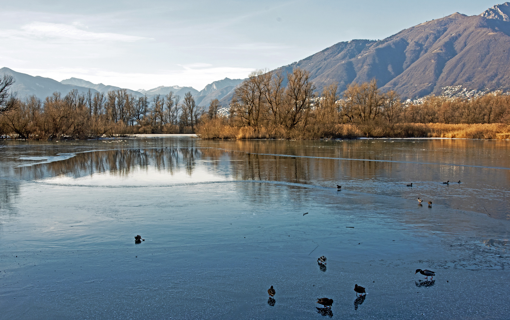 Bolle di Magadino im Winter