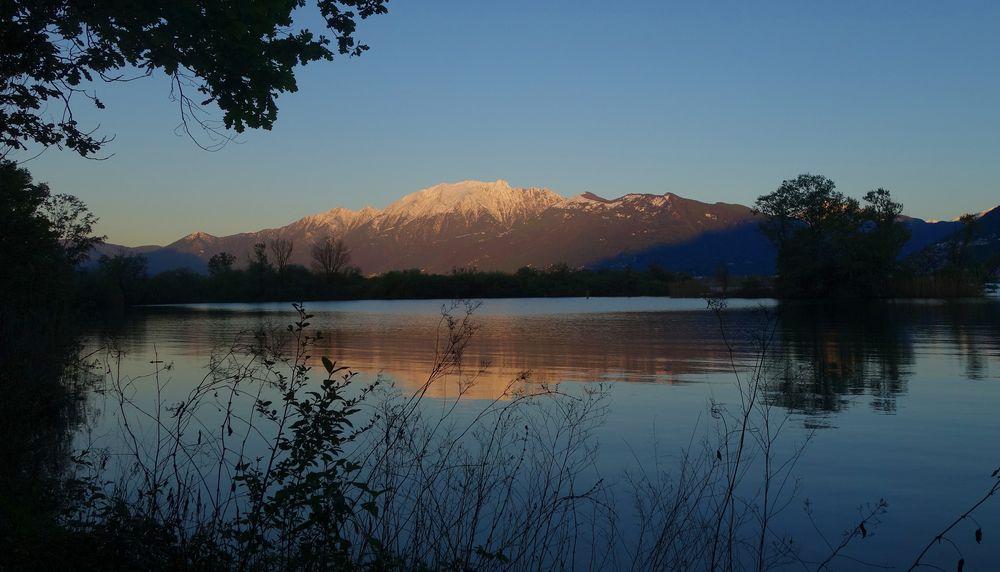 Bolle di Magadino morgens