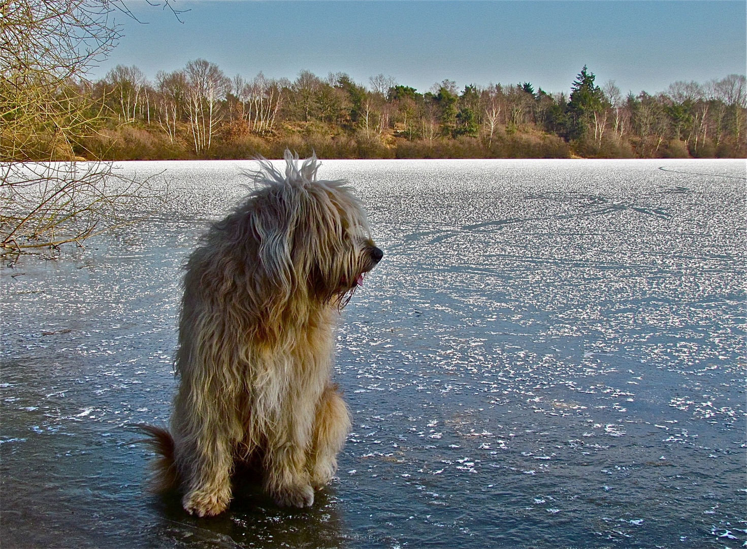 ...Bolle on ice...