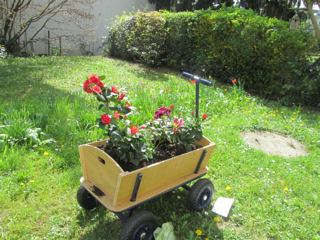 Bollerwagen mit Pflanzen bepflanzt