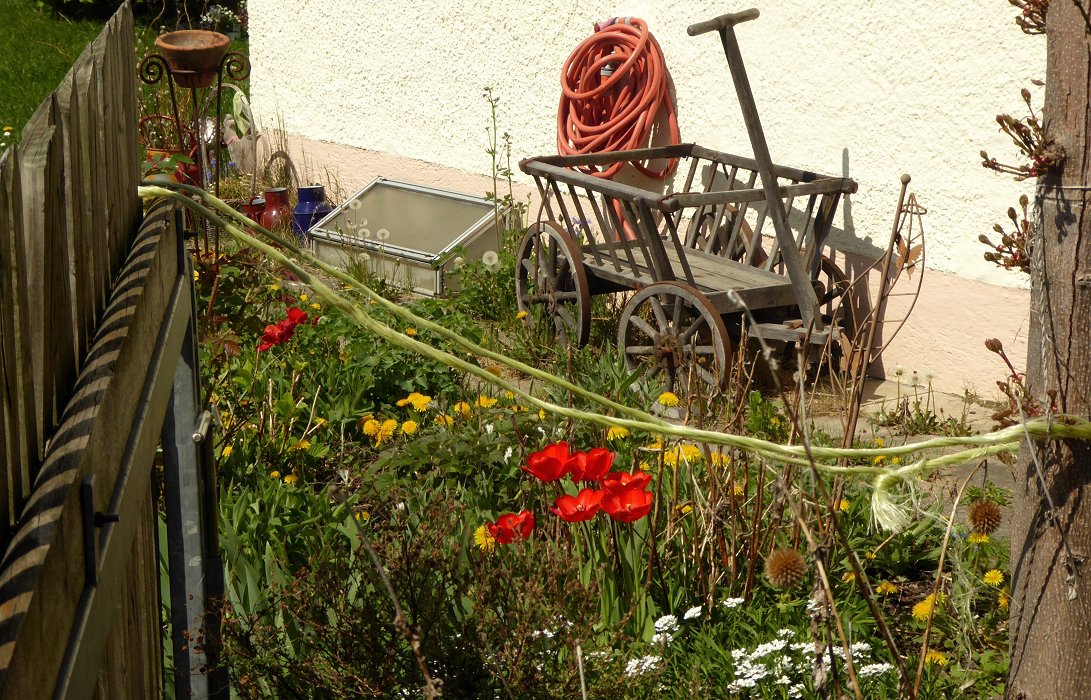 Bollerwagen und Blumen