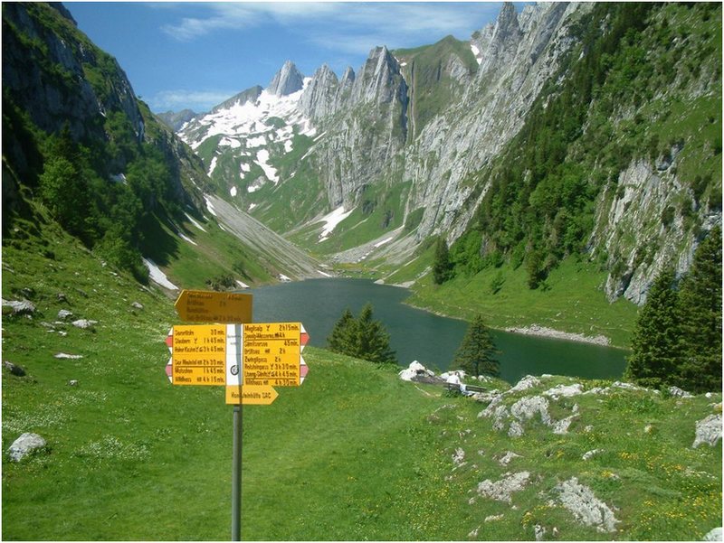 Bollewees am Fälensee