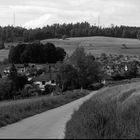 Bolligen / Habstetten