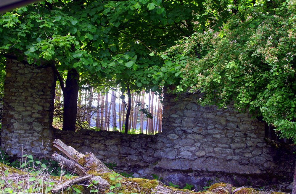 Bollwerk gegen die Natur?