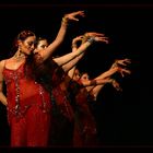 BollyDance Company