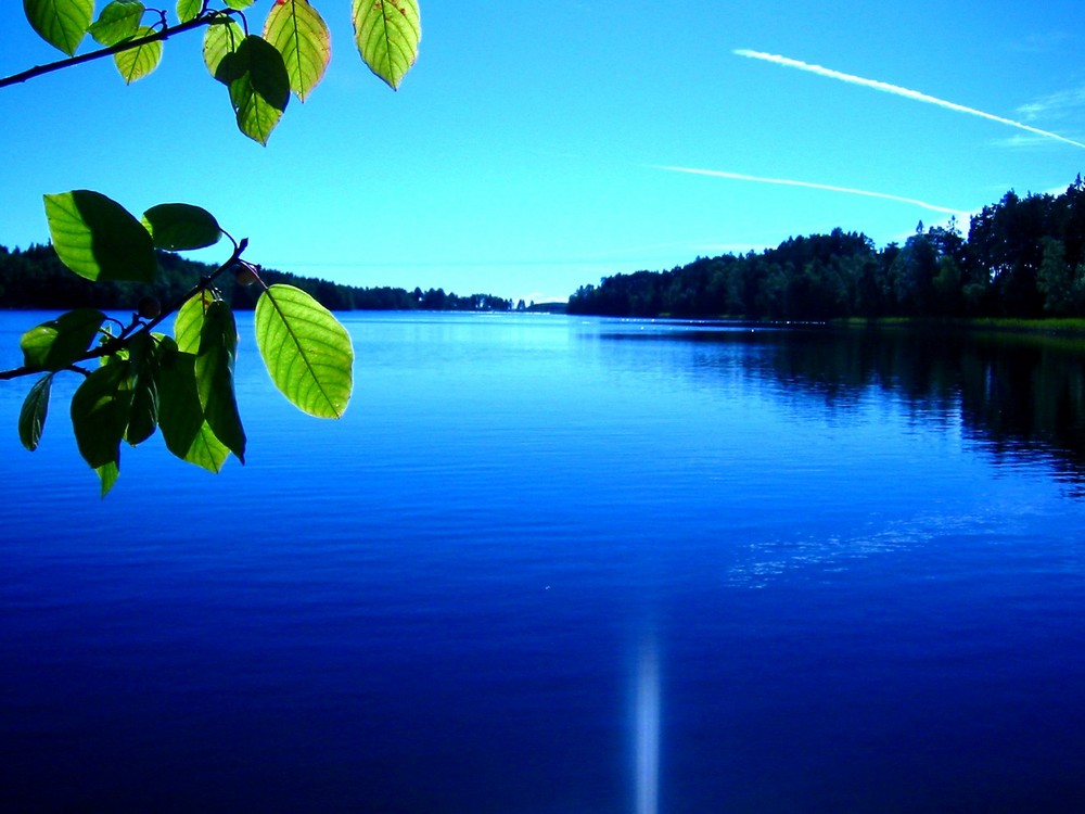 Bolmensee in Schweden