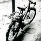 Bologna: Bicicletta senza studente sotto la neve