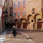 BOLOGNA, IL CENTRO STORICO 2 - RELOADED