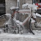 Bologna in bici !!