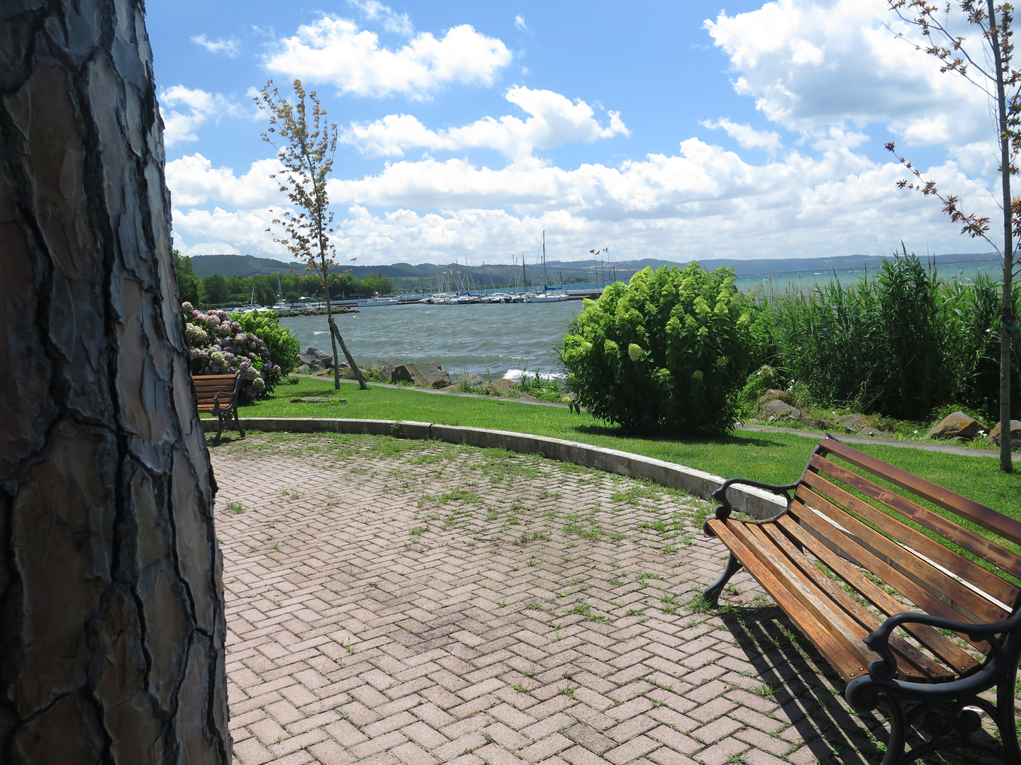 Bolsena lake