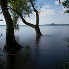 Bolsena Lake III