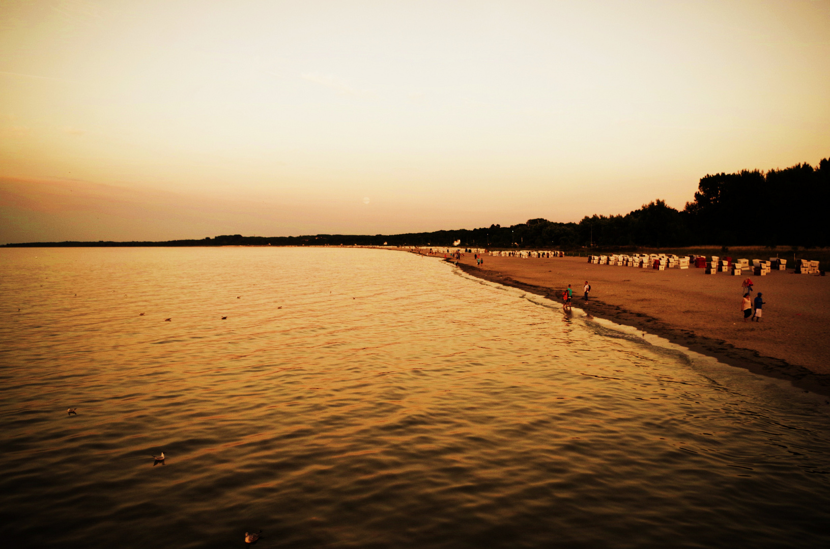 Boltenhagen Beach