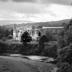 Bolton Abbey bw