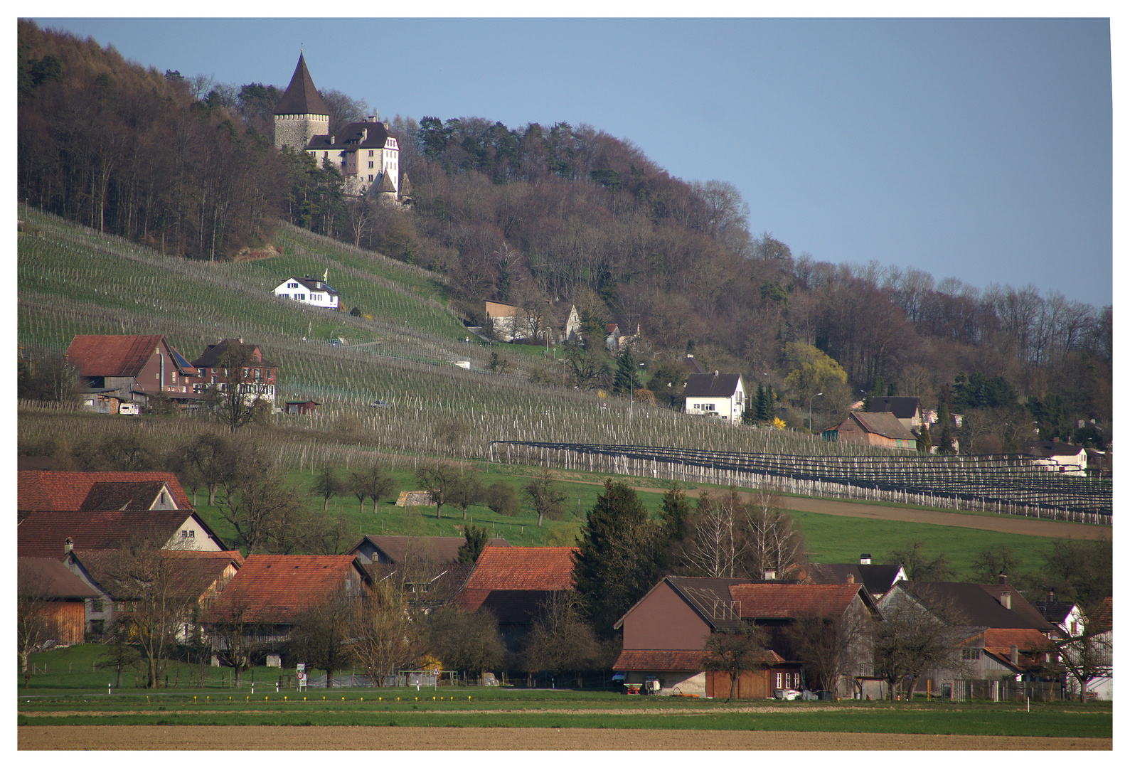Boltshausen und Schloss Weinfelden