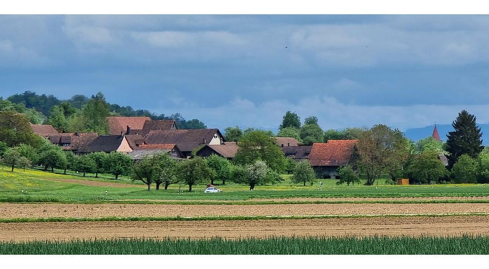 Boltshausen, Westansicht