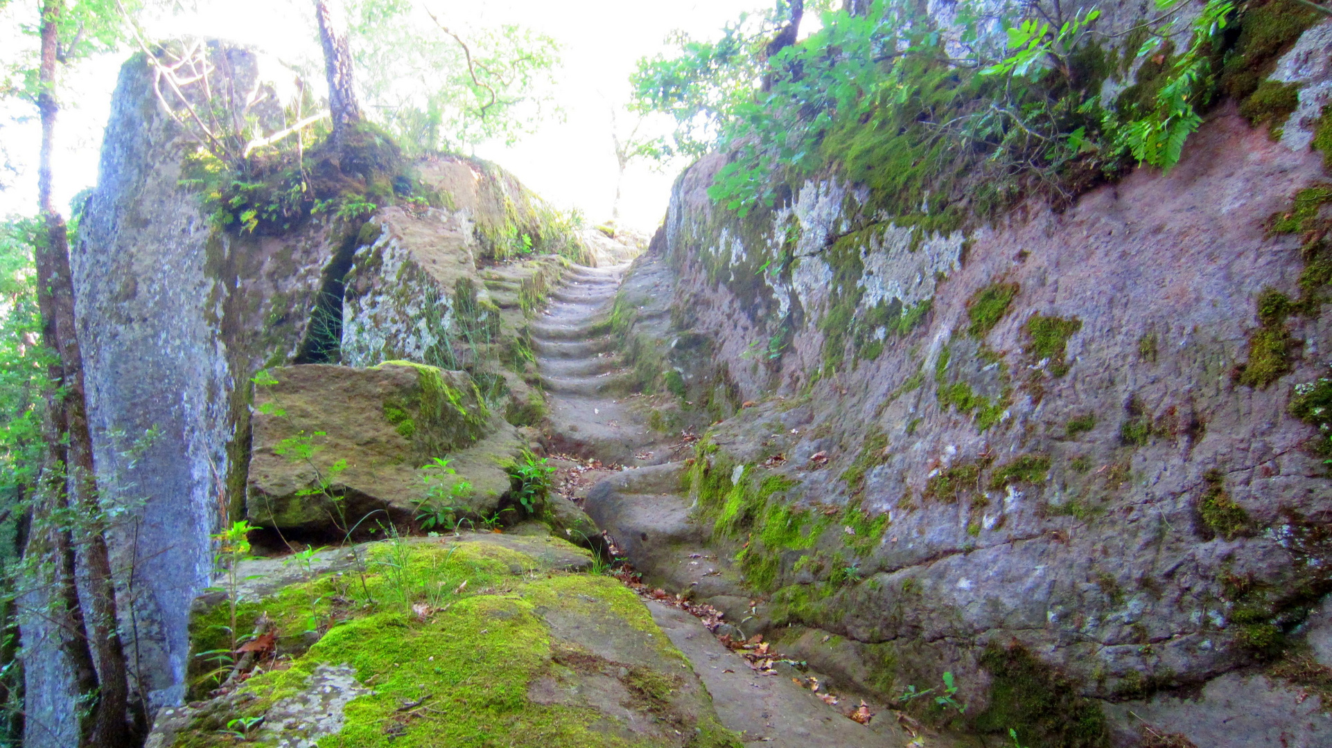 Bomarzo - Treppe zu den etruskischen Trümmern