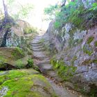 Bomarzo - Treppe zu den etruskischen Trümmern