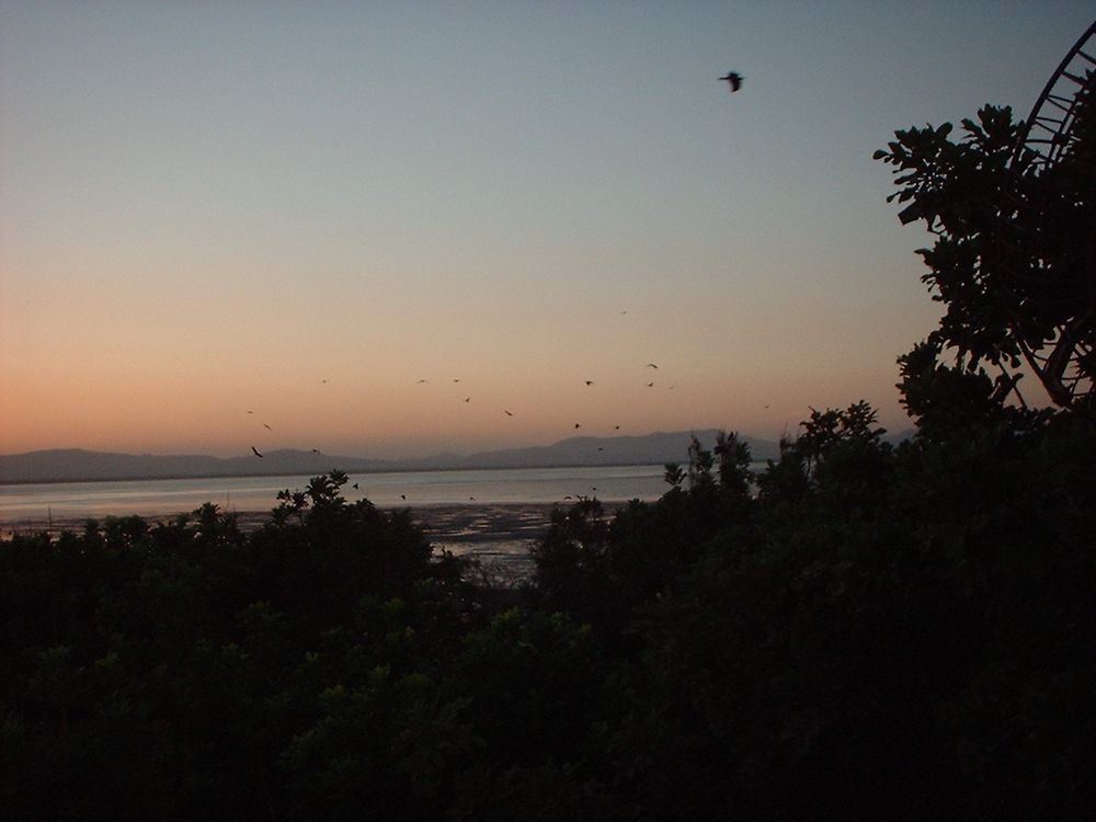 Bombay am Abend von Hellmut Usedom 