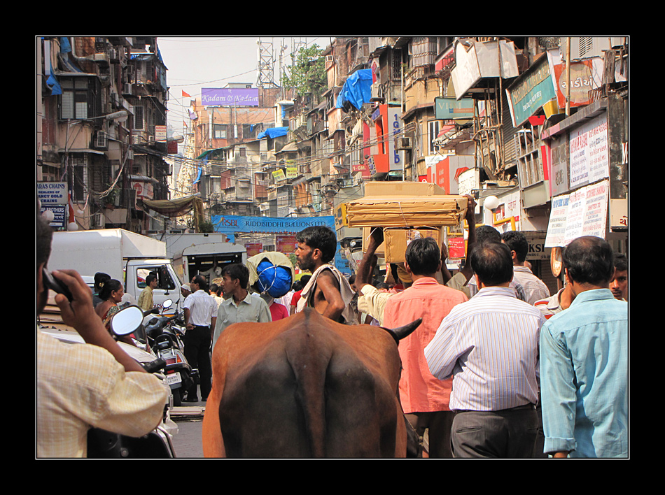 Bombay wie es leibt und lebt