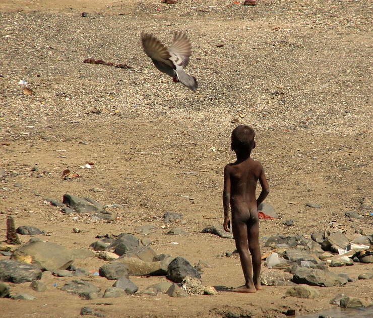 Bombay Wildlife 3