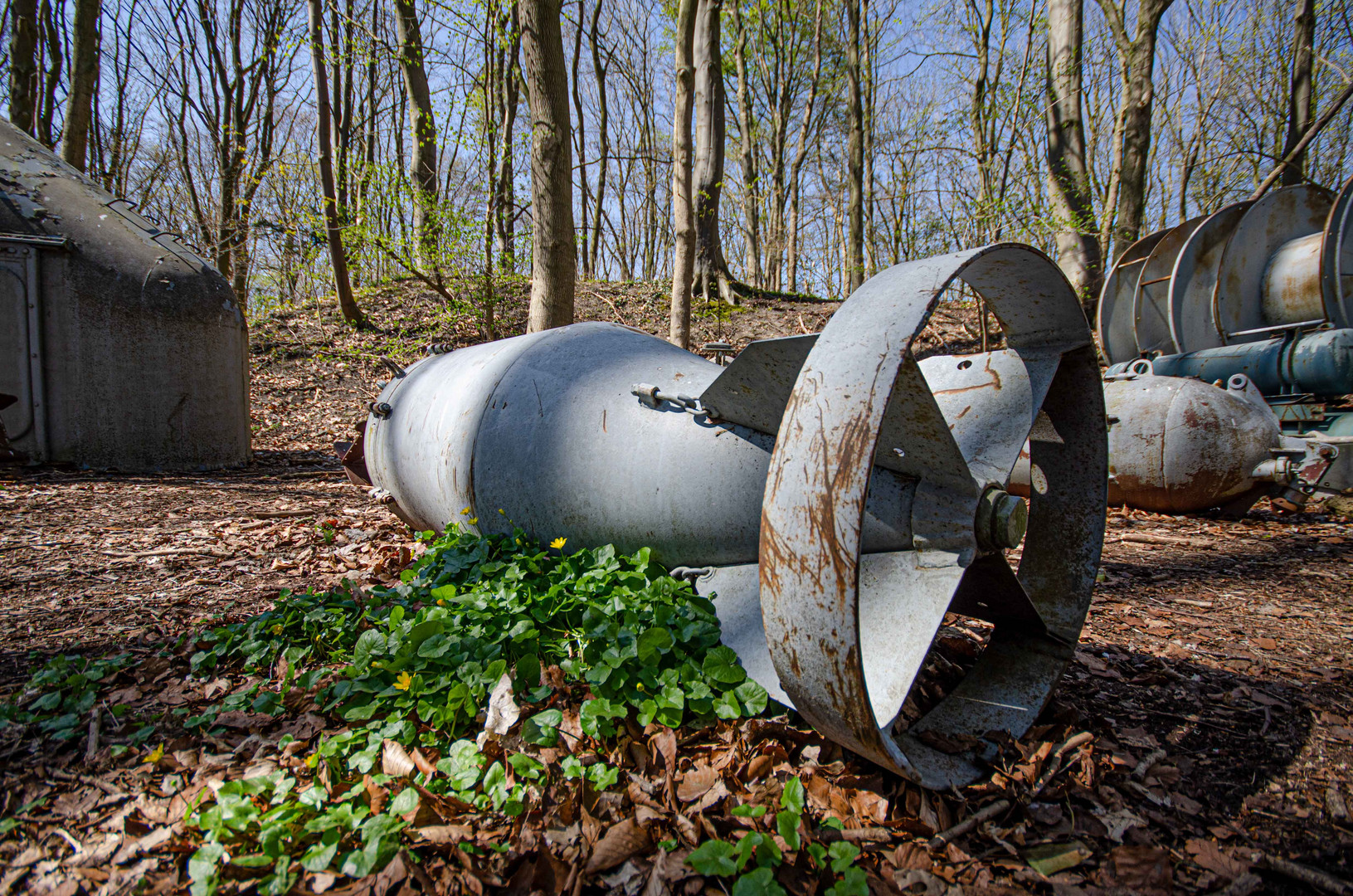 Bombe im Wald