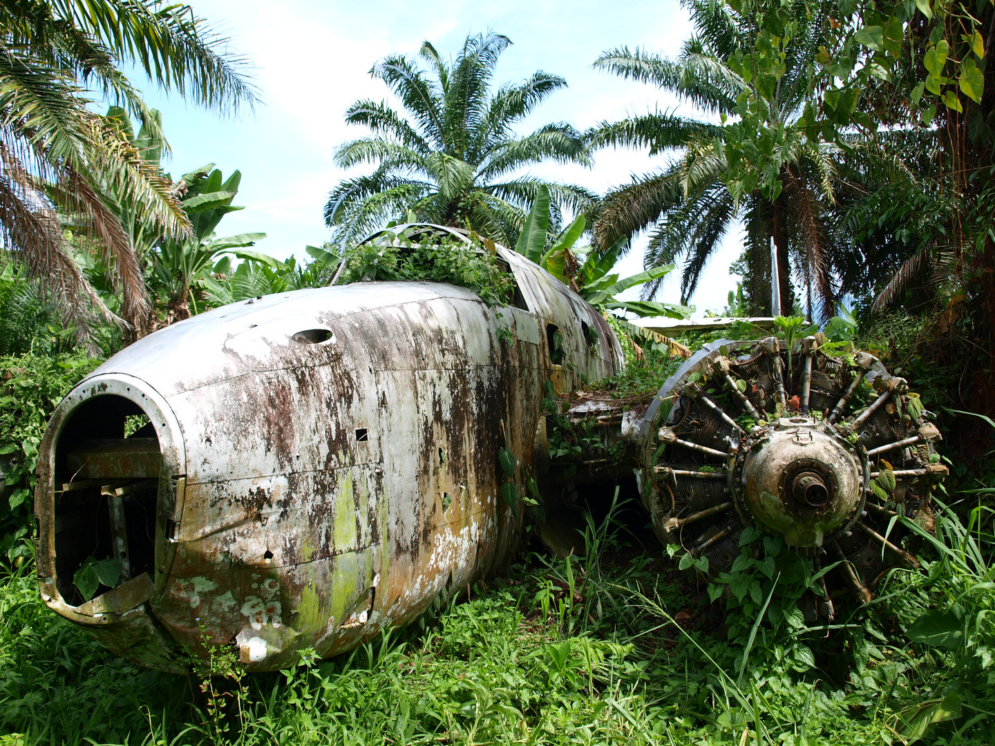 Bomber Plane in the Jungle