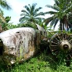 Bomber Plane in the Jungle