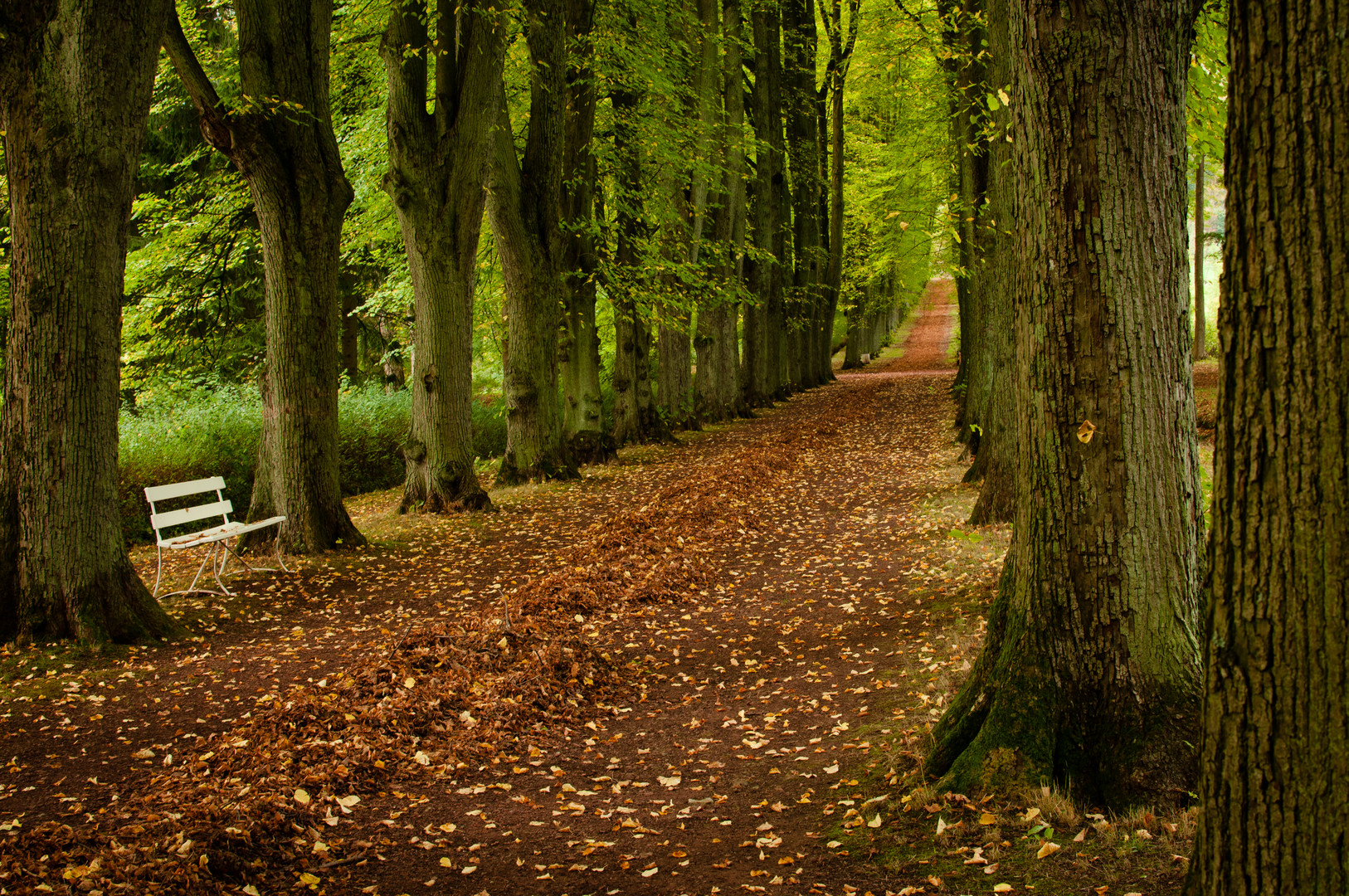 Bomberg Allee