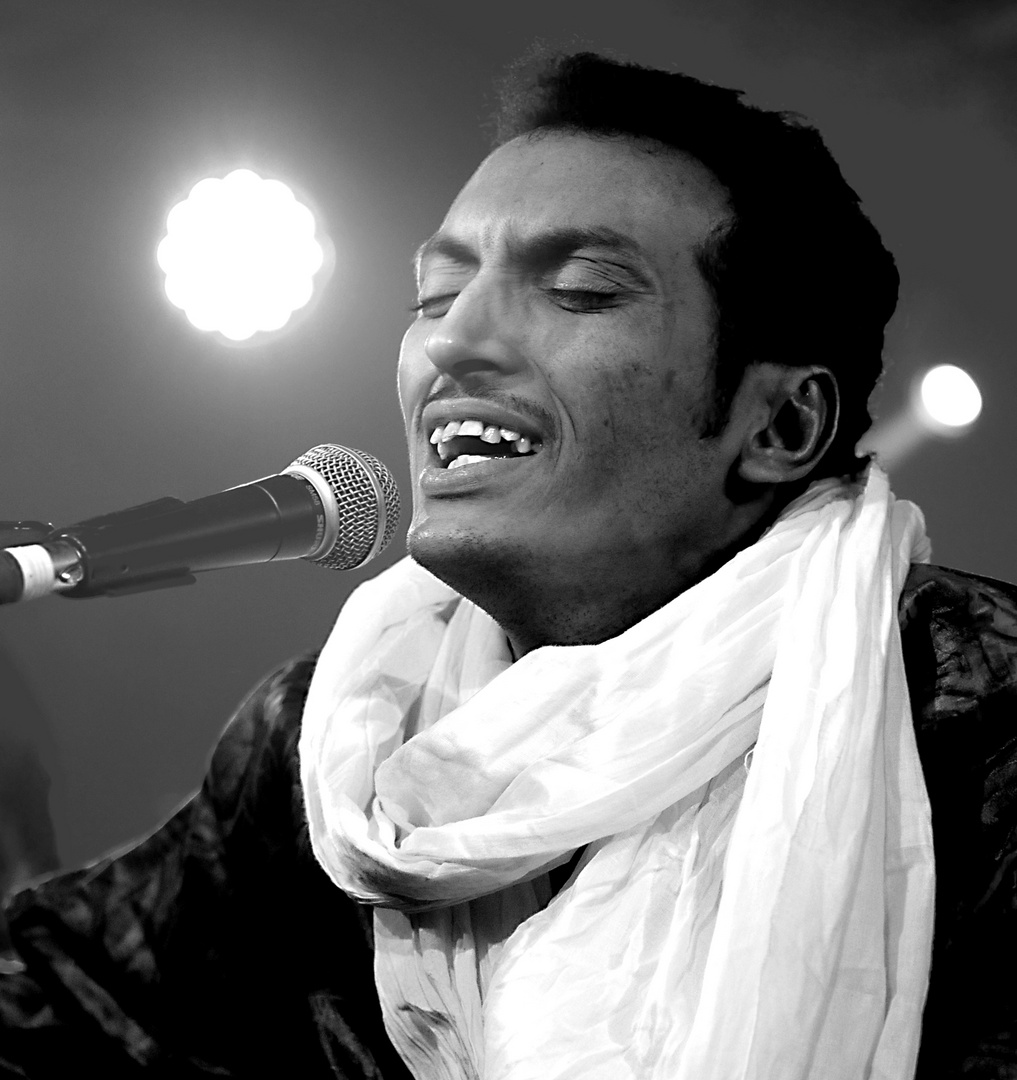 Bombino