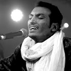 Bombino