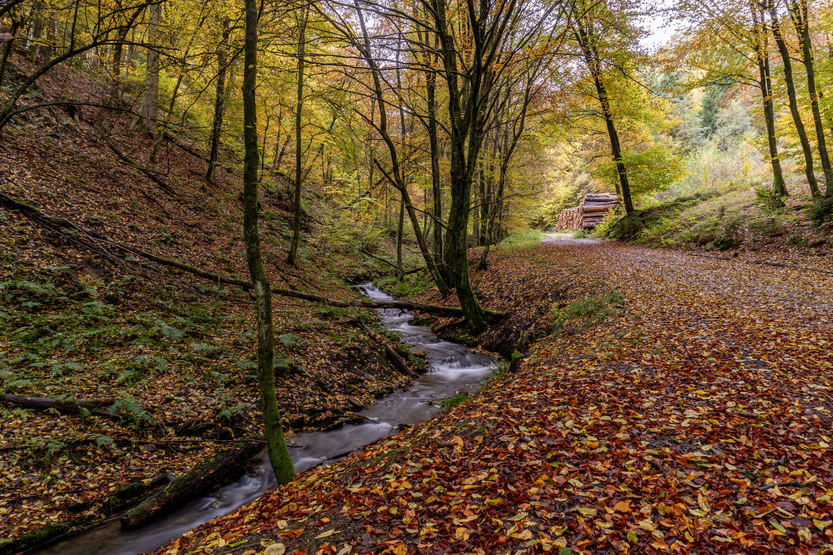 Bommecke Herbstblätter