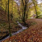 Bommecke Herbstblätter