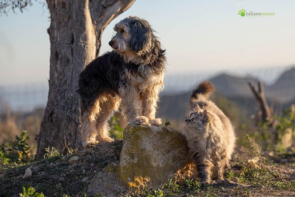 Bommel und Frl. Fluse