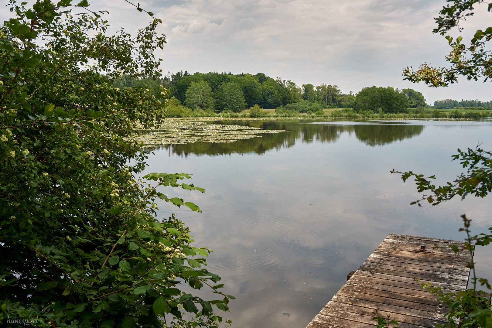 Bommer Weiher