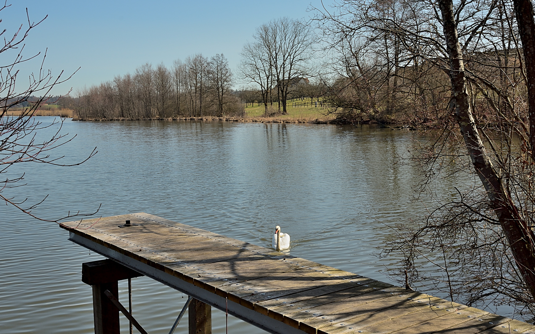 Bommer Weiher mit kleinem Steg