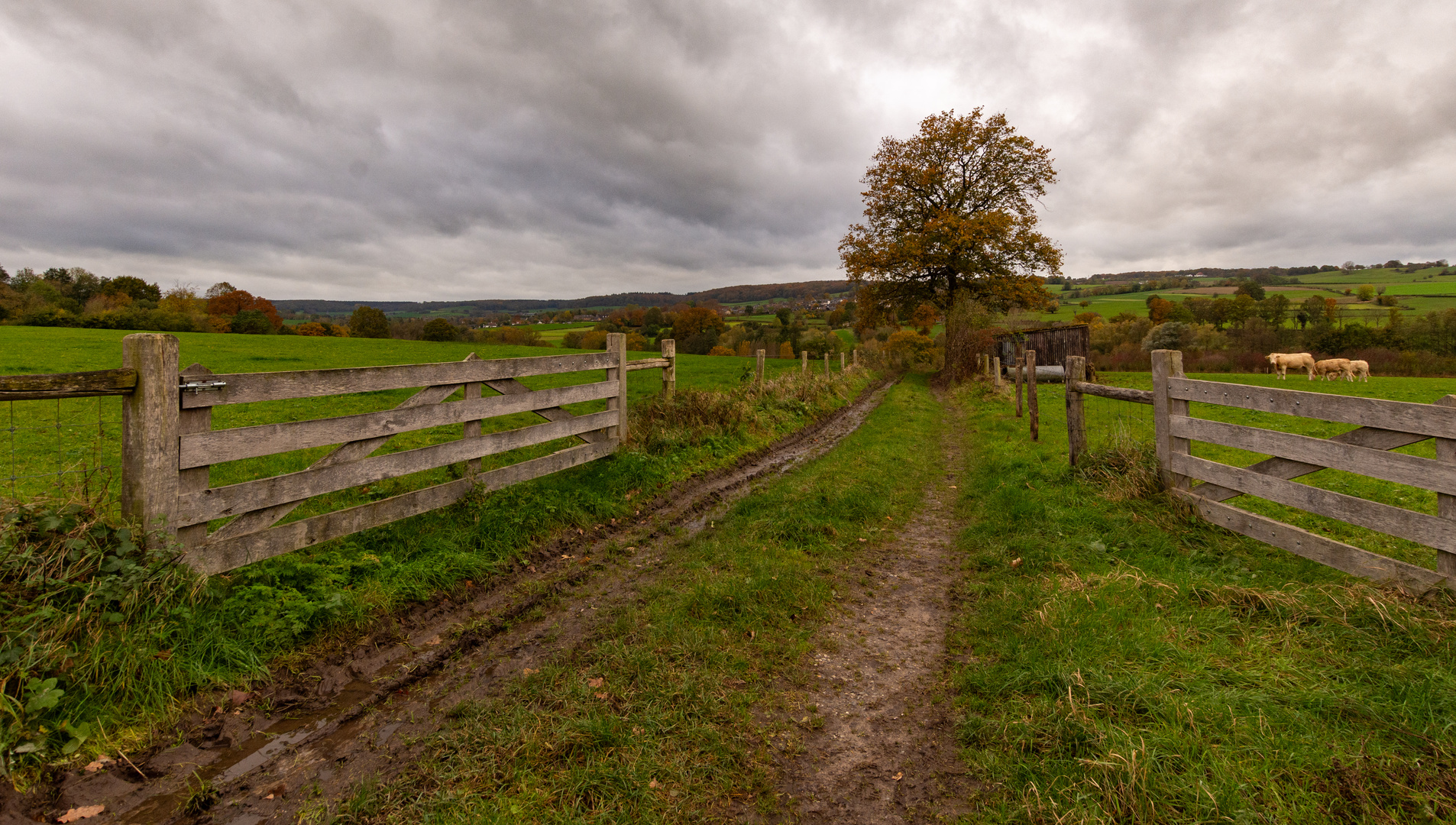 Bommerig - Bommerigerweg - 08