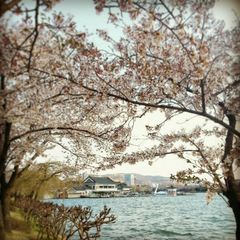 Bomun Lake, Gyeongju, Gyeongsangbuk-do