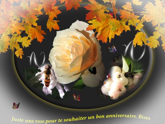 Bon anniversaire Michèle (Fleury)