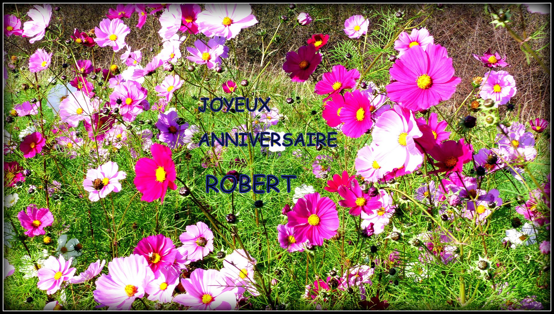 BON - ANNIVERSAIRE - ROBERT