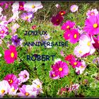 BON - ANNIVERSAIRE - ROBERT