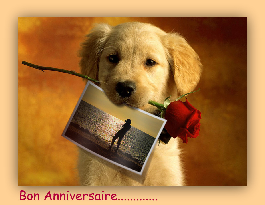 Bon Anniversaire The Photo Et Image Special Evenements Carte D Anniversaire Images Fotocommunity Bon Anniversaire The Photo Et Image Special Evenements Carte D Anniversaire Images Fotocommunity