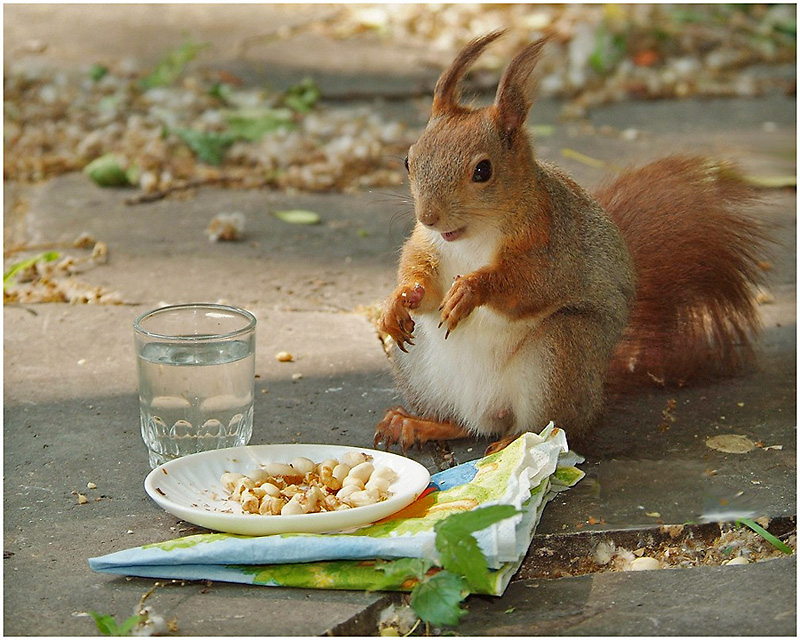 Bon appétit!