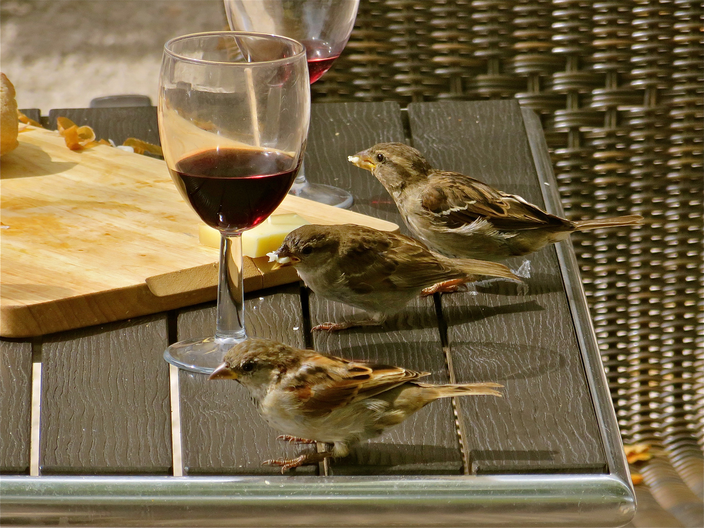 ... bon appétit !!!...