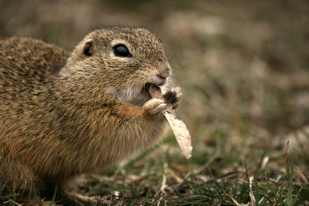 Bon appétit!