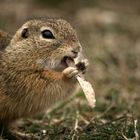 Bon appétit!