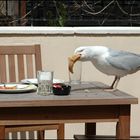 bon appétit!