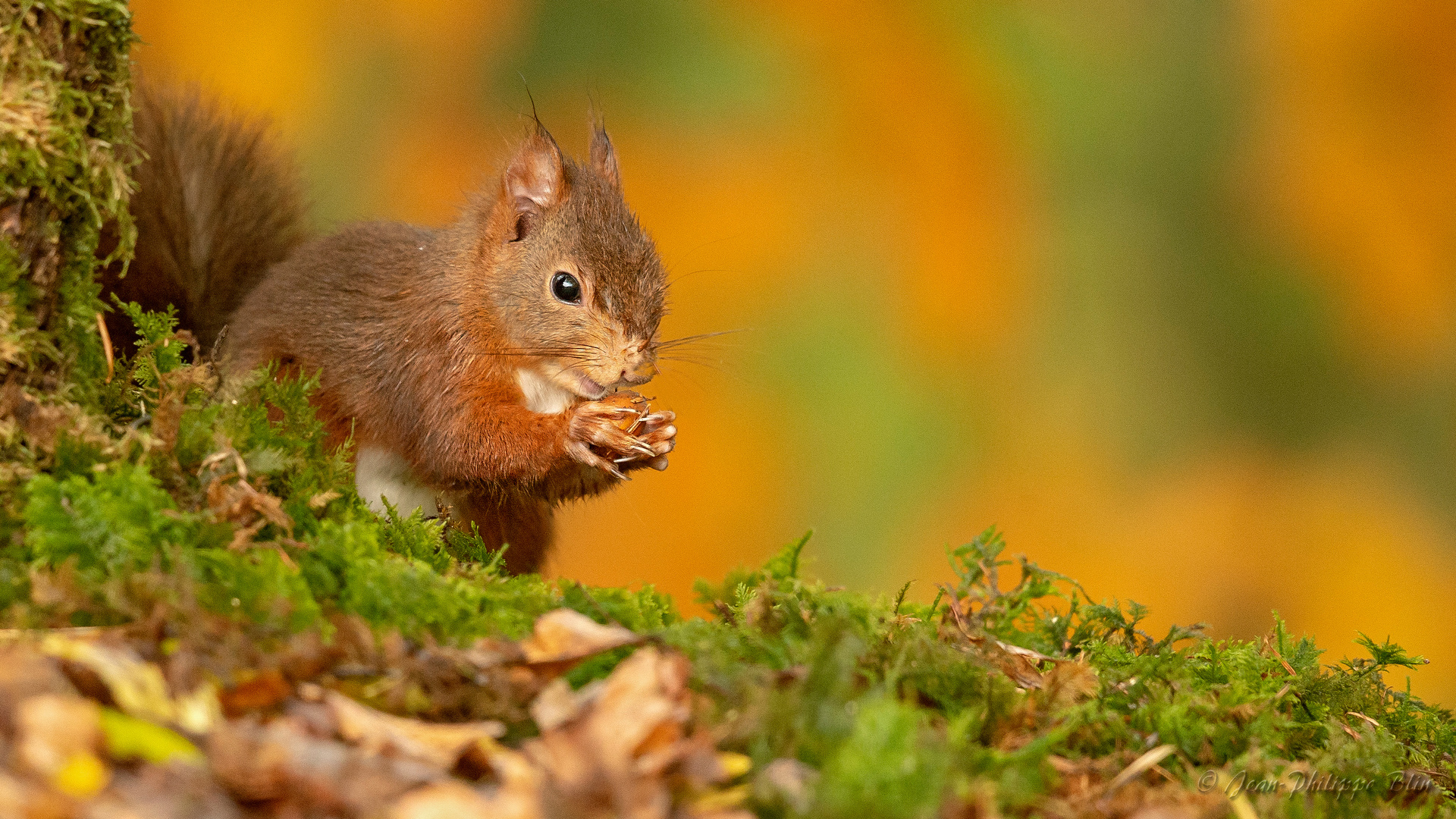 Bon appétit!