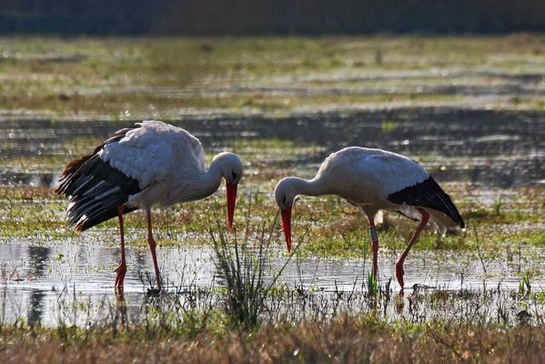 - Bon dia! - Bon dia!
