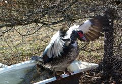 * bon, j'ai pris mon bain*