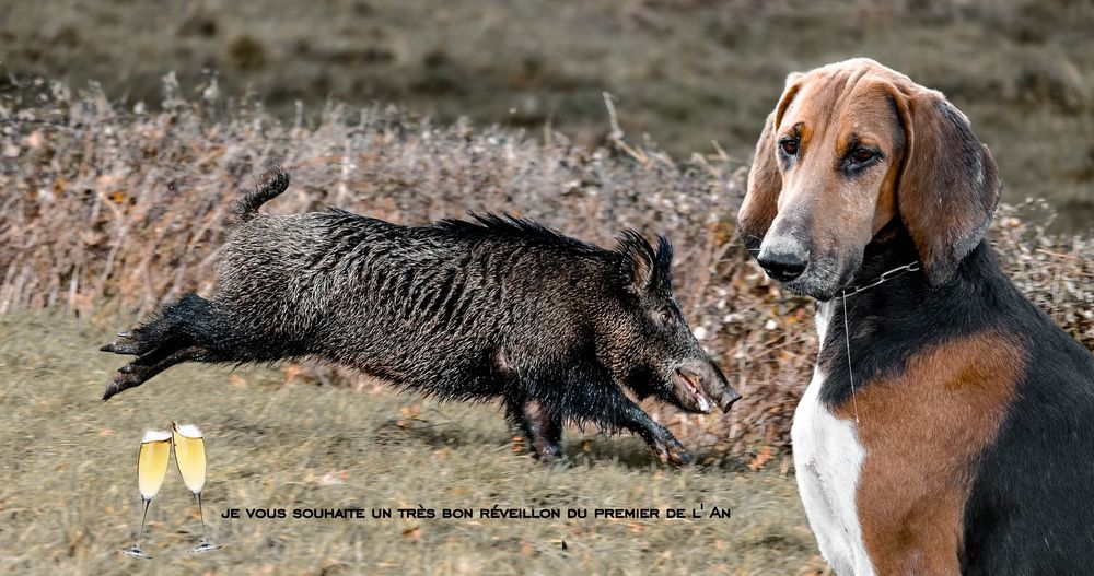 Bon réveillon du Nouvel An 
